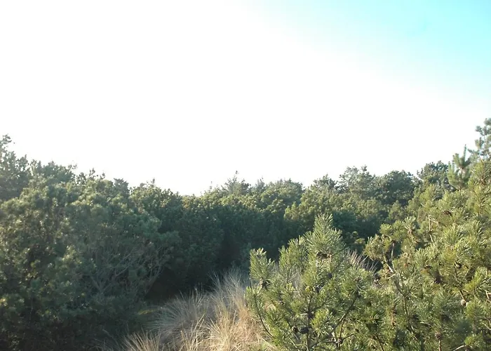 Prázdninový dům Jon - 400m From The Sea By Interhome Vejers Strand